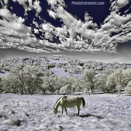 Fotografie Ik, cum se face o fotografie în infraroșu, un blog despre fotografie și microstock