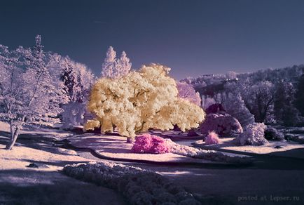 Ік фотографія, як зробити інфрачервоний знімок, блог про фотографію і мікростоках