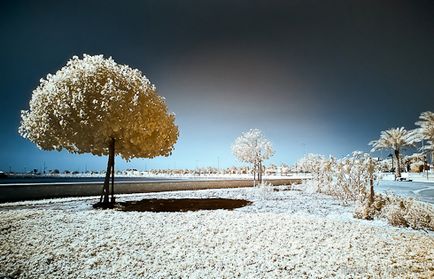 Ік фотографія, як зробити інфрачервоний знімок, блог про фотографію і мікростоках