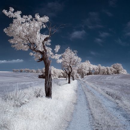 Fotografie Ik, cum se face o fotografie în infraroșu, un blog despre fotografie și microstock