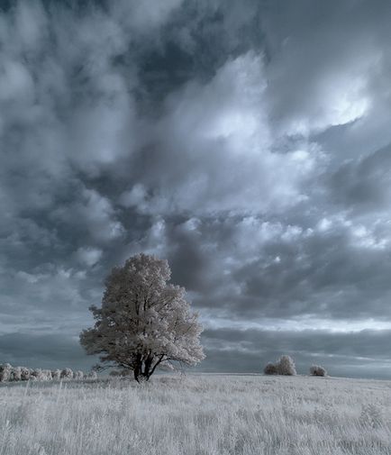 Ik fotografie, cum să faceți o fotografie în infraroșu, un blog despre fotografie și microstock