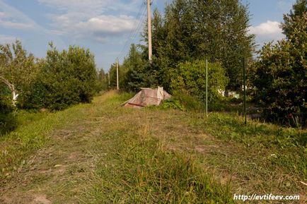 Інфрачервона фотографія - практика, приклади