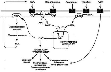 Інгібітори агрегації тромбоцитів