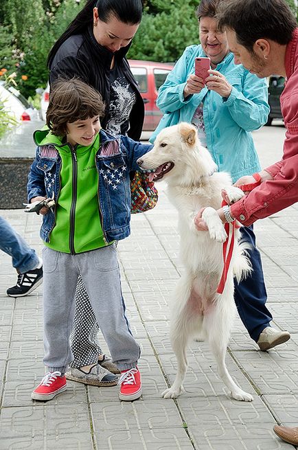 De la Muzeul Darwinian - acasă! Expoziția de fotografii a animalelor fără stăpân - zooinform-city