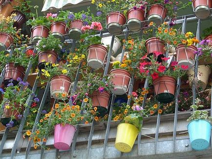 Cum ar fi cum să crească flori pe balcon, înțelegem nuanțele