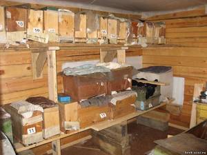 Cum se fac familiile de iernare de albine într-un hambar special la temperatura optimă