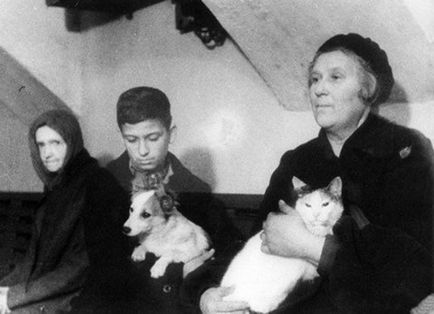 Cum - divizia de misionare - a salvat Leningradul, sau de ce este mai valoros decât pisica fiarei