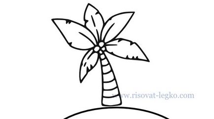 Cum de a desena un palmier în etape pentru începători
