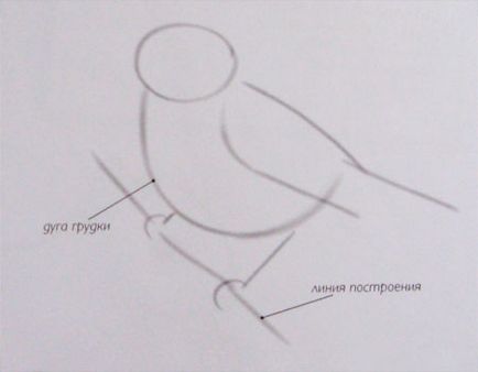 Cum să atragă o pasăre în creion în etape