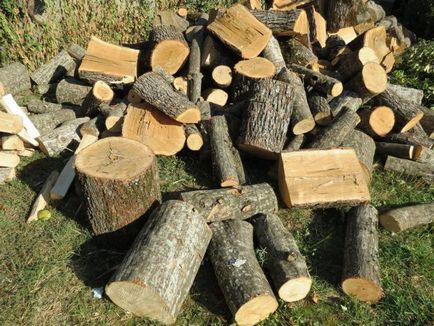 Як організувати бізнес на дровах