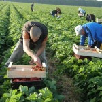 Як відкрити рахунок в польському банку, подорожній