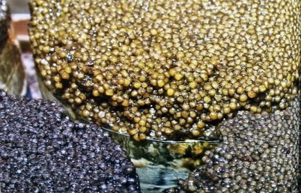 Cum să distingi caviarul real de fals