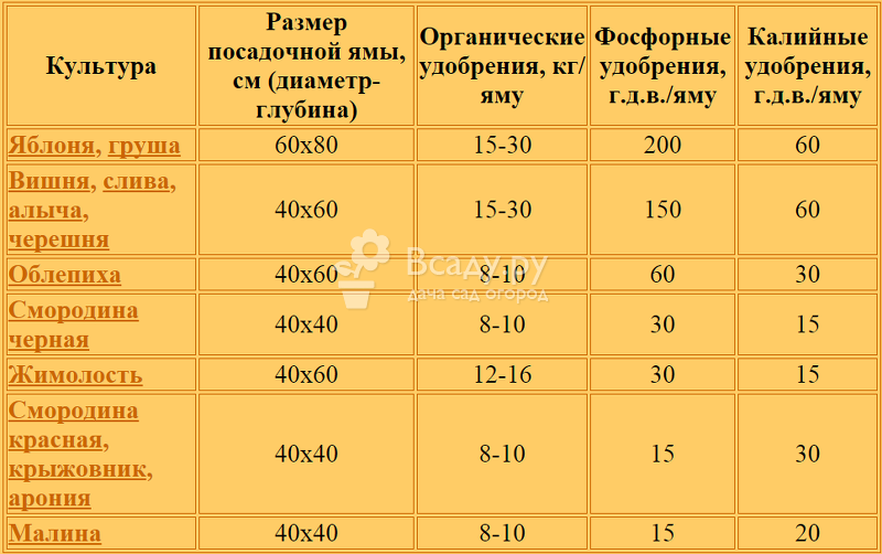 Як правильно посадити саджанці плодових дерев і чагарників, схема