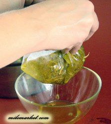 Як приготувати інфузное масло, мацерат і масляний Екстакти