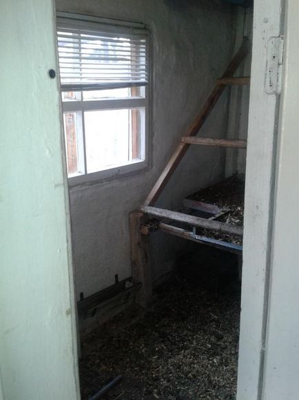 Hogyan készítsünk egy kis tyúkól saját kezűleg szakértői válaszok (tyúkól) Hogyan készítsünk egy kis coop kezüket szakértői válaszok