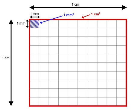 Cum să faci un palet în matematică cu fotografia ta