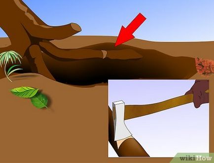 Як видалити обрубок дерева