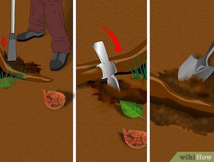 Cum să eliminați un ciuc de copac