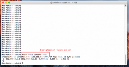 Cum se efectuează urmărirea și ping-ul pe un site în mac os x