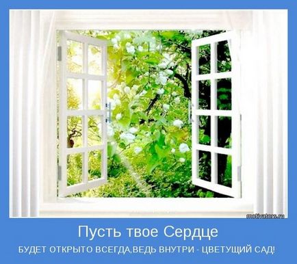 Як шкода, що в магазинах не продається мозок! Так хочеться іноді зробити кому-небудь подарунок!