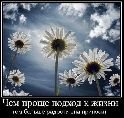 Як шкода, що в магазинах не продається мозок! Так хочеться іноді зробити кому-небудь подарунок!