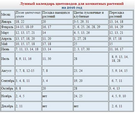 Коли можна пересаджувати кімнатні квіти