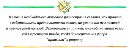 kutyák etetés (etetés) etetés kutyák