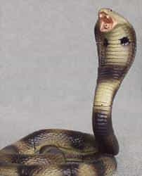 Royal Cobra