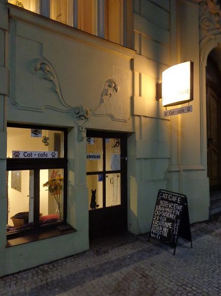 Cafeneaua Cat din Praga