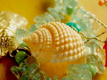 Seashells frumoase)