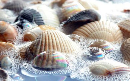 Seashells frumoase)