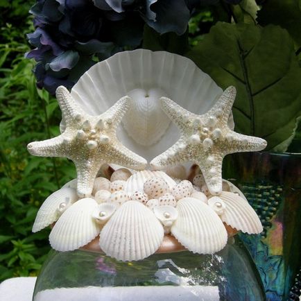 Seashells frumoase)