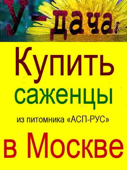 Купити насіння картоплі в москві - магазин сад і будинок - товари для дому та саду