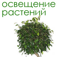 Лікування шкірних захворювань ультрафіолетовими лампами - корисно знати - светілкін