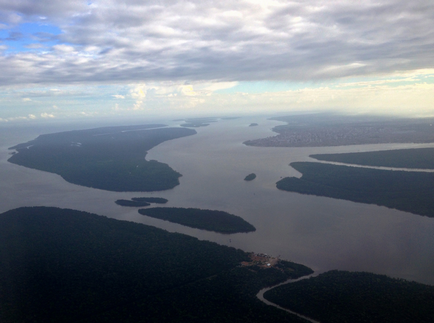 Ліси амазонії опис, фото і відео