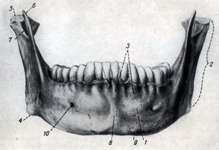 Facial Craniu 1958 mecanic n