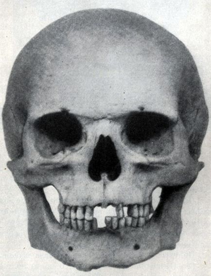 Особовий відділ черепа 1958 механік н