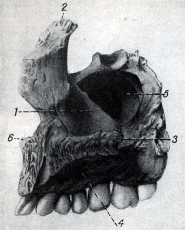 Facial Craniu 1958 mecanic n