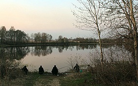 Fogása ponty a tó tavasszal