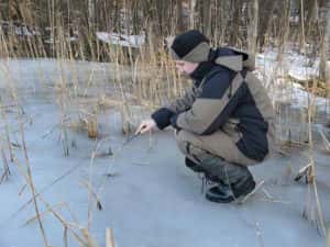 Ловля окуня по першому льоду - секрети успішної риболовлі