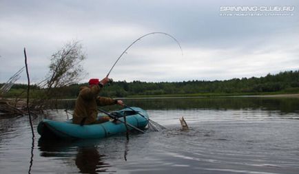 Ловля щуки на спінінг з човна секрети риболовлі