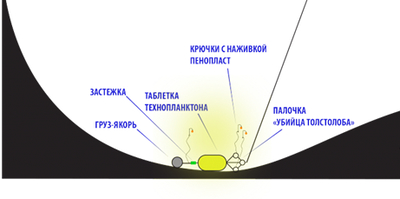 Ловля товстолобика на донку