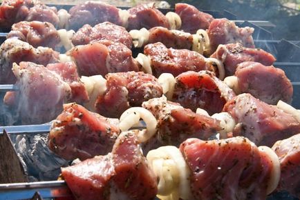 Cele mai bune marinade kebab shish pentru un anumit tip de carne