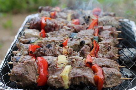 Cele mai bune marinade kebab shish pentru un anumit tip de carne