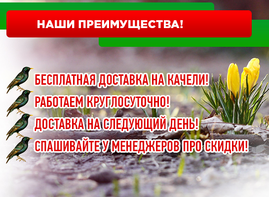 Магазин меблів для саду в Москві, купити меблі для саду по недорогий вартості