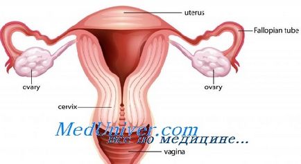 Marcherii insuficienței ovariene