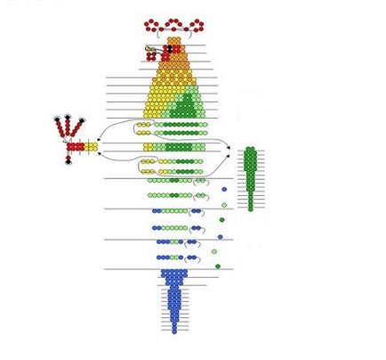 Mesterkurzus kakas gyöngy (Symbol 2017)