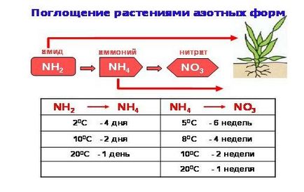 Мінеральні застосування кас