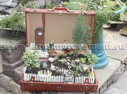 Miniatură grădină (mini gradina) în design peisagistic