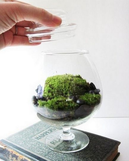 Mini kert egy üveg kezével nagy ötletek kis florariuma